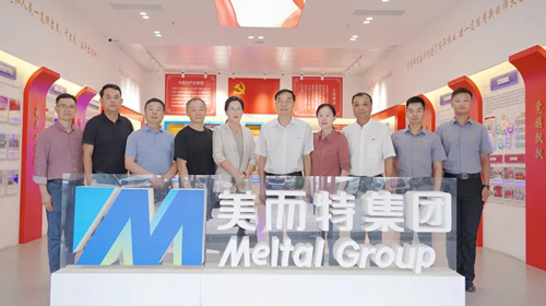 省市有關單位領導調研美而特黨建