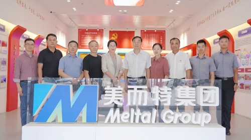 省市有關單位領導調研美而特黨建